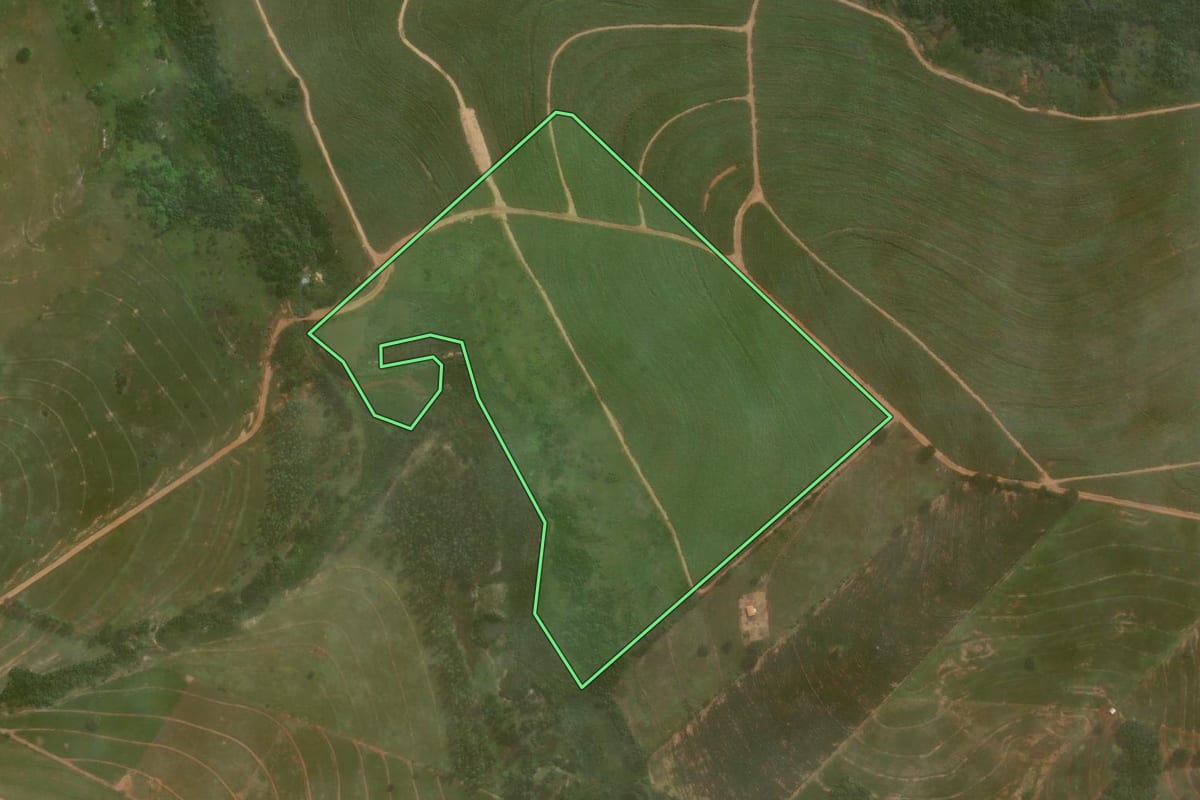 Imagem de satélite do imóvel rural em Umuarama (PR), com o contorno declarado no CAR desenhado por cima.