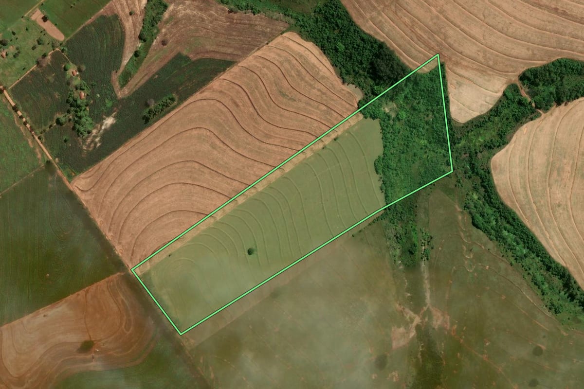 Imagem de satélite do imóvel rural em Umuarama (PR), com o contorno declarado no CAR desenhado por cima.