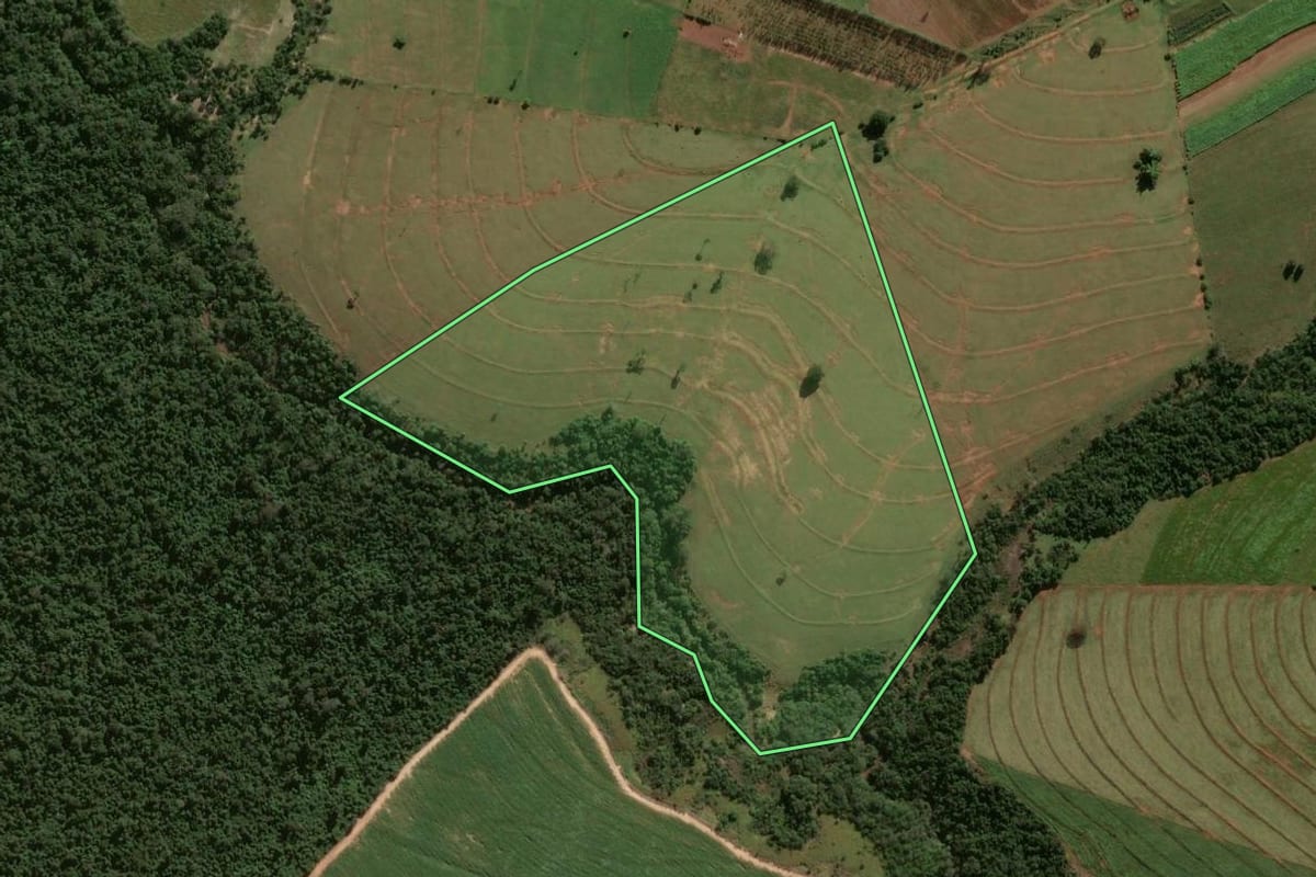 Imagem de satélite do imóvel rural em Umuarama (PR), com o contorno declarado no CAR desenhado por cima.
