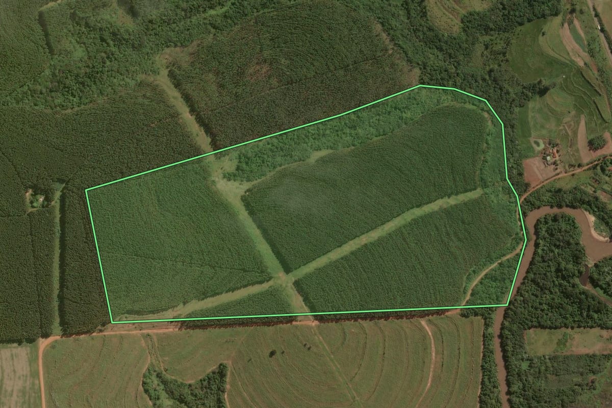 Imagem de satélite do imóvel rural em Umuarama (PR), com o contorno declarado no CAR desenhado por cima.