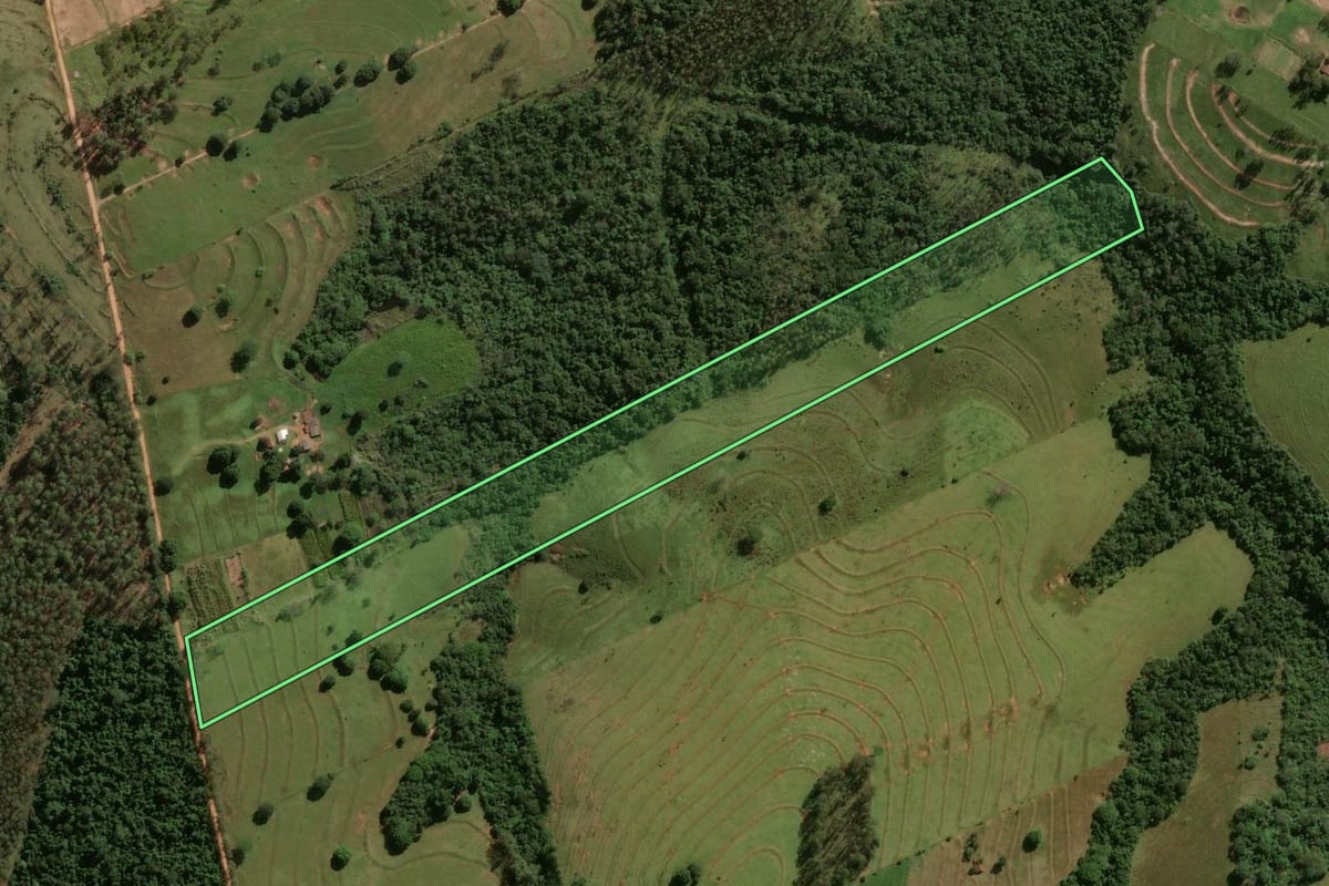 Imagem de satélite do imóvel rural em Umuarama (PR), com o contorno declarado no CAR desenhado por cima.