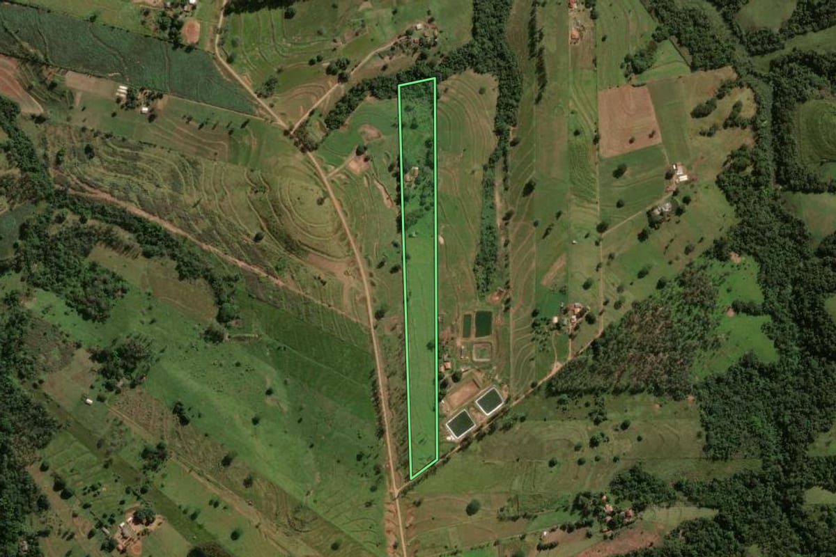 Imagem de satélite do imóvel rural em Umuarama (PR), com o contorno declarado no CAR desenhado por cima.