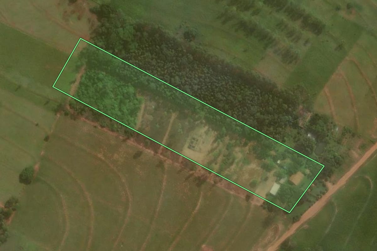 Imagem de satélite do imóvel rural em Umuarama (PR), com o contorno declarado no CAR desenhado por cima.