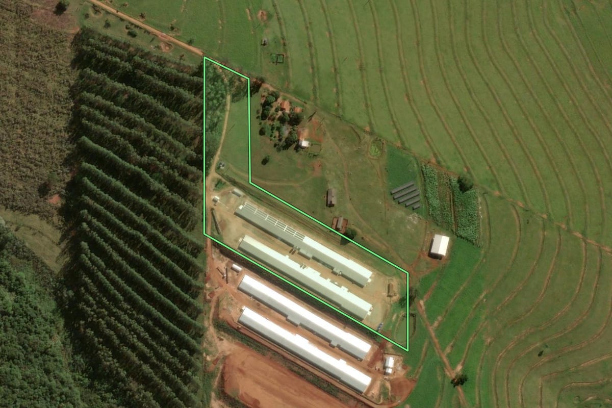 Imagem de satélite do imóvel rural em Umuarama (PR), com o contorno declarado no CAR desenhado por cima.