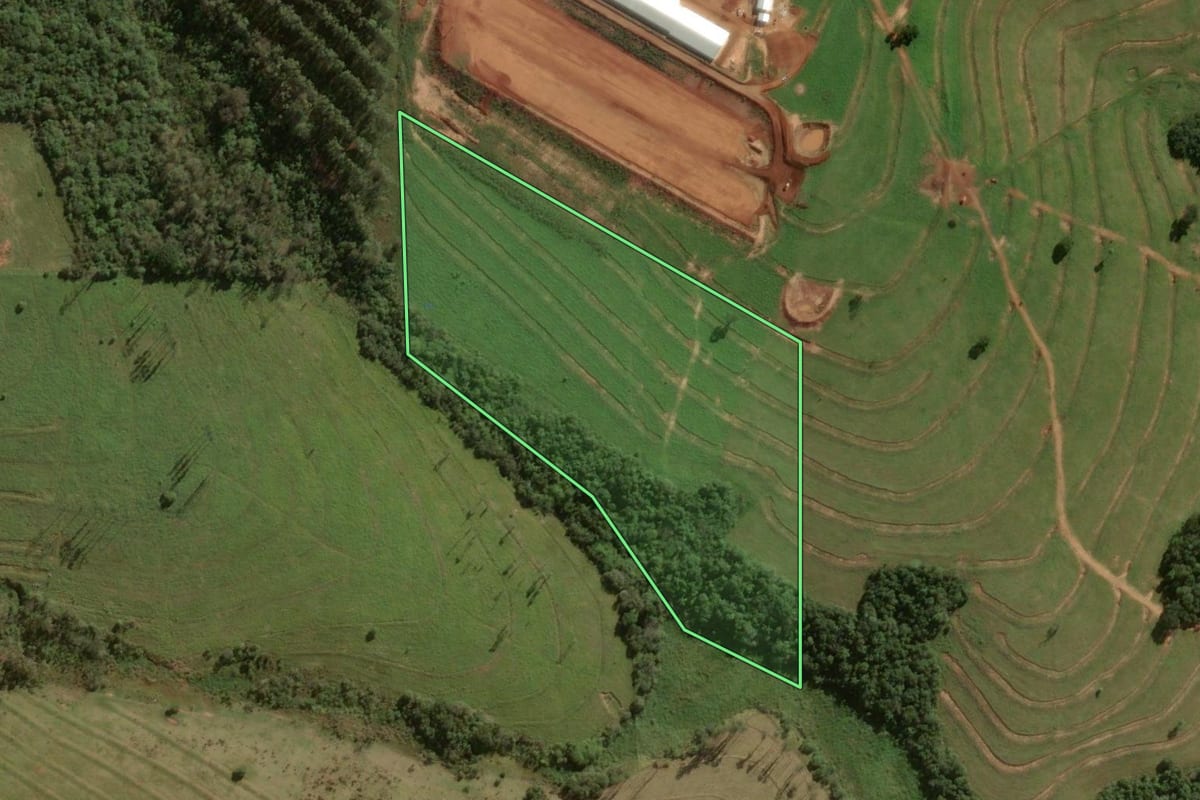 Imagem de satélite do imóvel rural em Umuarama (PR), com o contorno declarado no CAR desenhado por cima.
