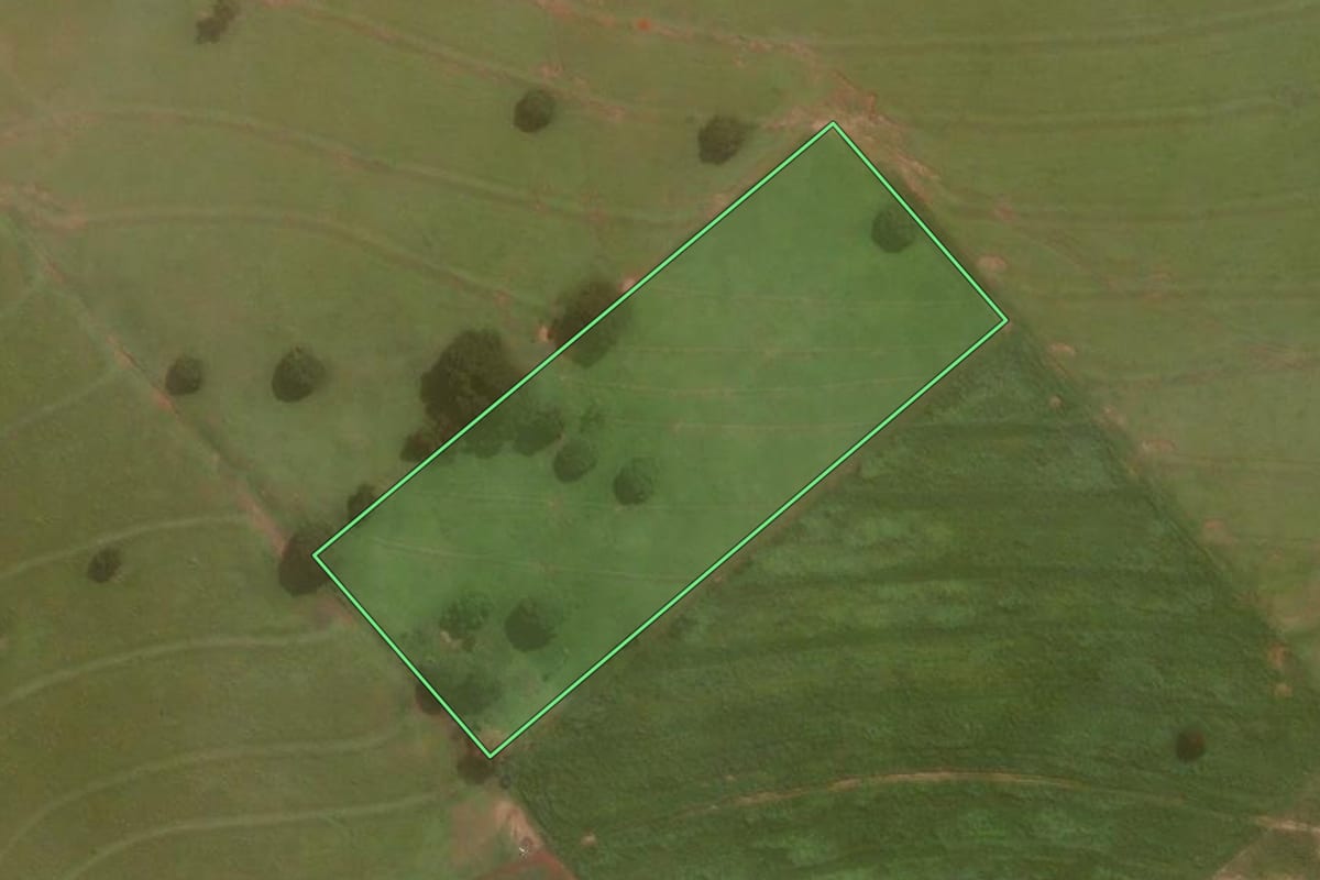 Imagem de satélite do imóvel rural em Umuarama (PR), com o contorno declarado no CAR desenhado por cima.