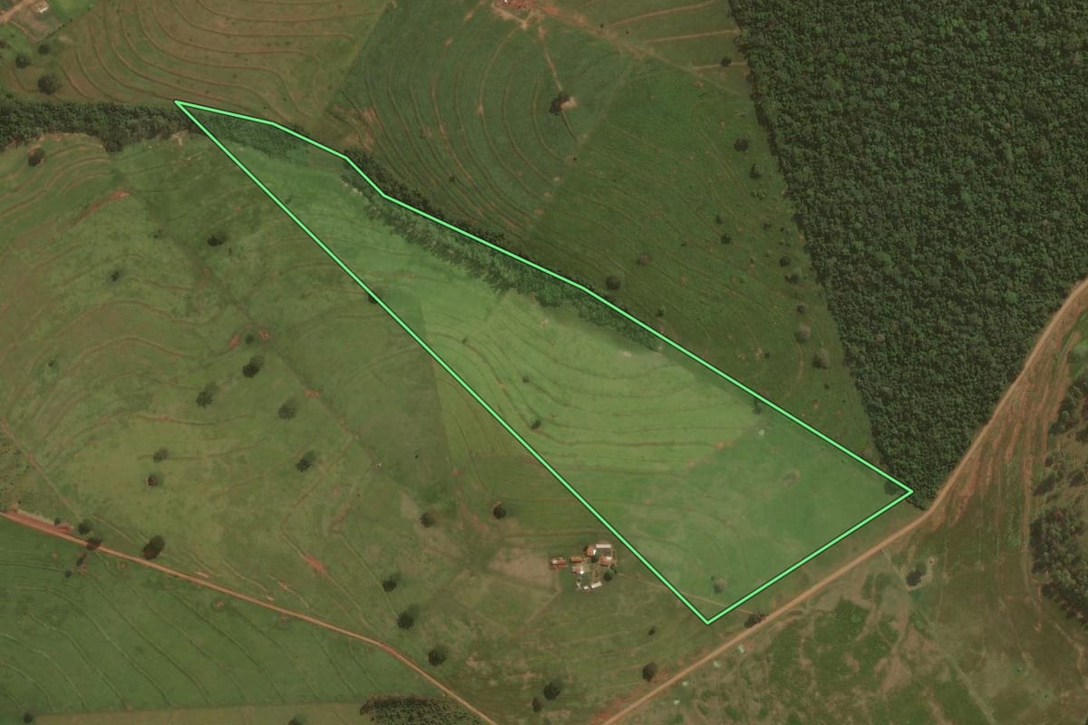 Imagem de satélite do imóvel rural em Umuarama (PR), com o contorno declarado no CAR desenhado por cima.