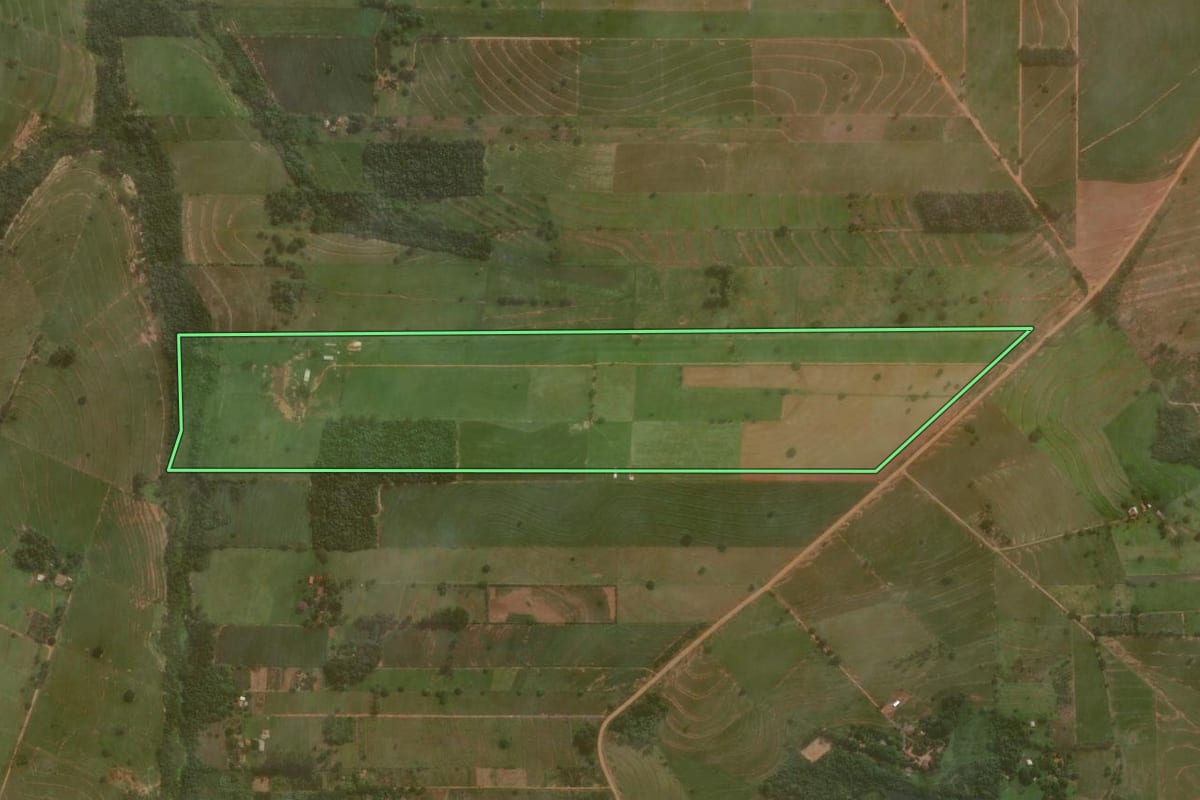 Imagem de satélite do imóvel rural em Umuarama (PR), com o contorno declarado no CAR desenhado por cima.