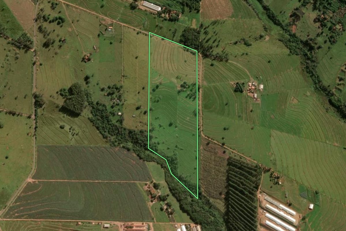Imagem de satélite do imóvel rural em Umuarama (PR), com o contorno declarado no CAR desenhado por cima.