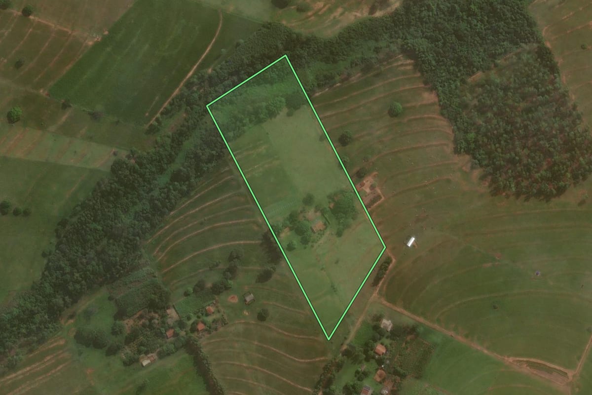 Imagem de satélite do imóvel rural em Umuarama (PR), com o contorno declarado no CAR desenhado por cima.