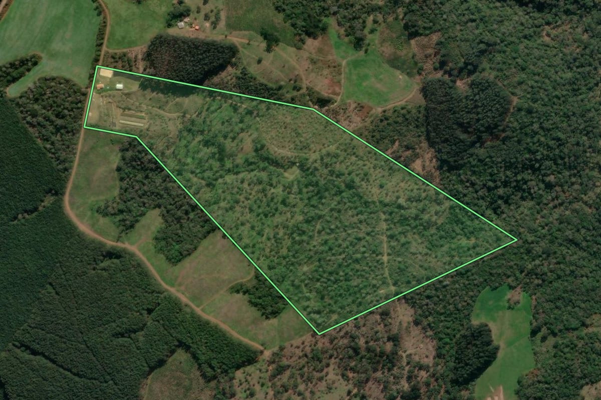 Imagem de satélite do imóvel rural em União da Vitória (PR), com o contorno declarado no CAR desenhado por cima.