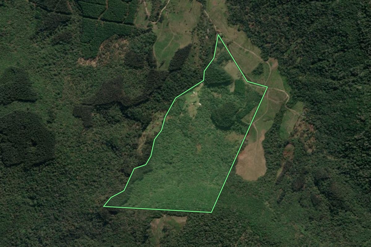 Imagem de satélite do imóvel rural em União da Vitória (PR), com o contorno declarado no CAR desenhado por cima.