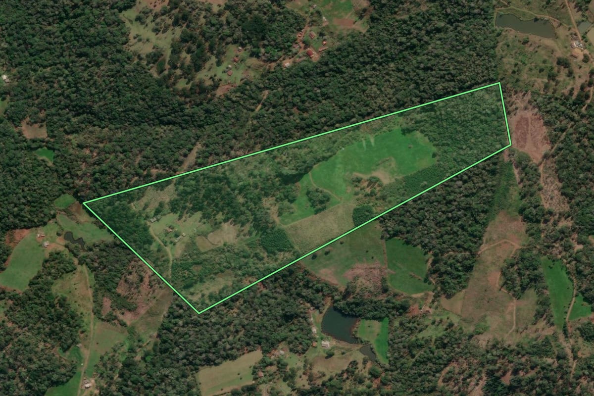 Imagem de satélite do imóvel rural em União da Vitória (PR), com o contorno declarado no CAR desenhado por cima.