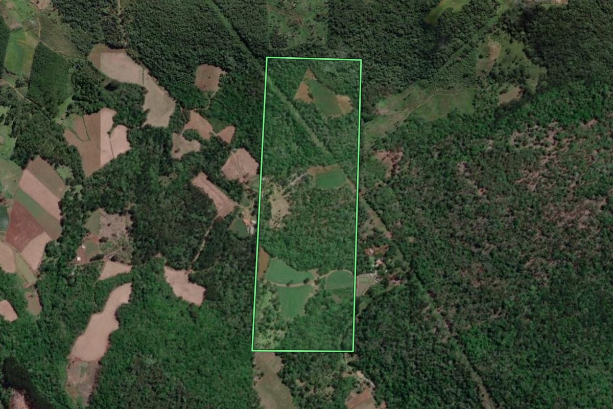 Imagem de satélite do imóvel rural em União da Vitória (PR), com o contorno declarado no CAR desenhado por cima.