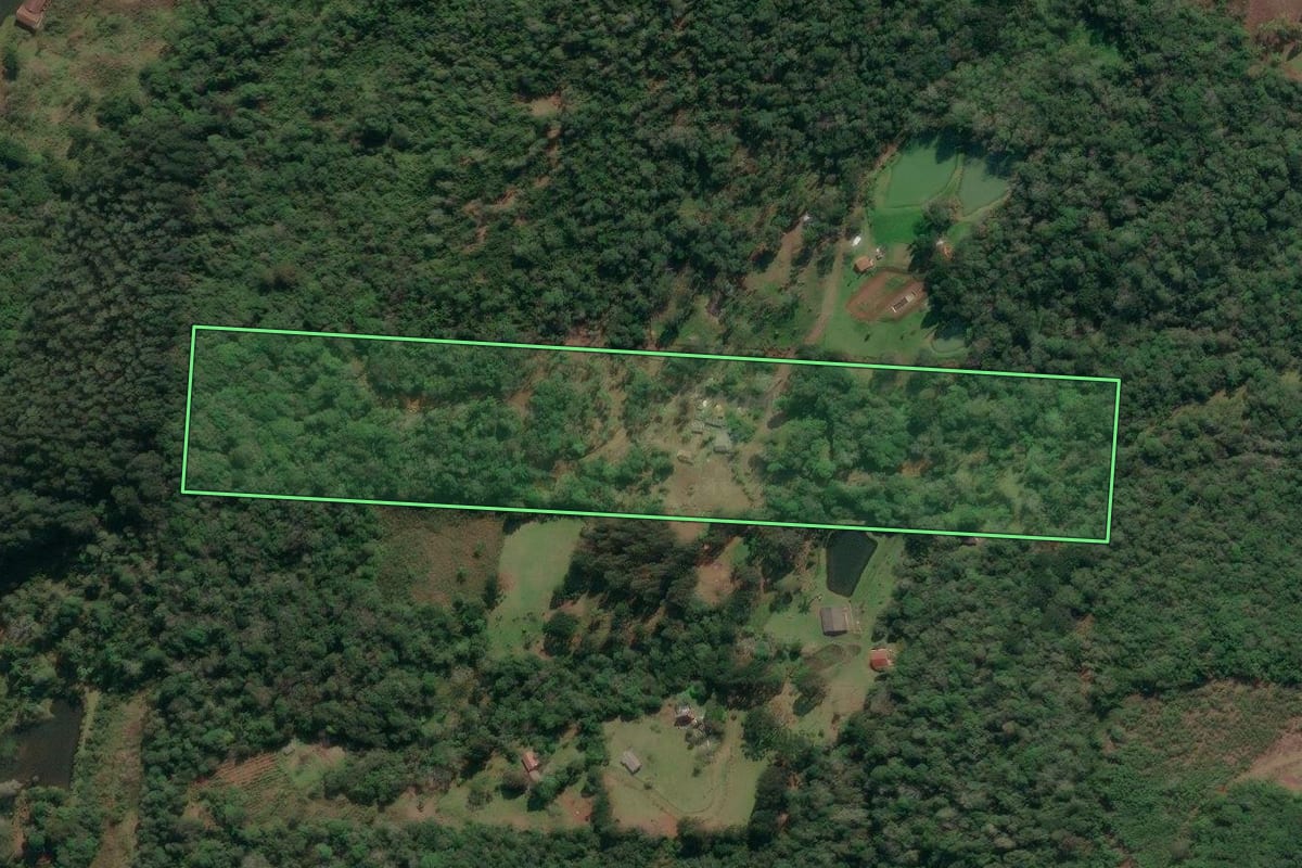 Imagem de satélite do imóvel rural em União da Vitória (PR), com o contorno declarado no CAR desenhado por cima.