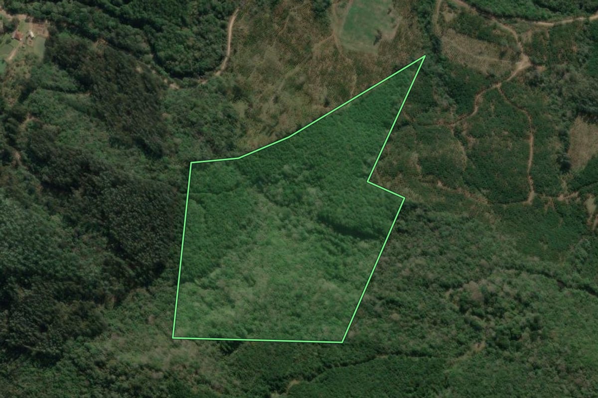 Imagem de satélite do imóvel rural em União da Vitória (PR), com o contorno declarado no CAR desenhado por cima.