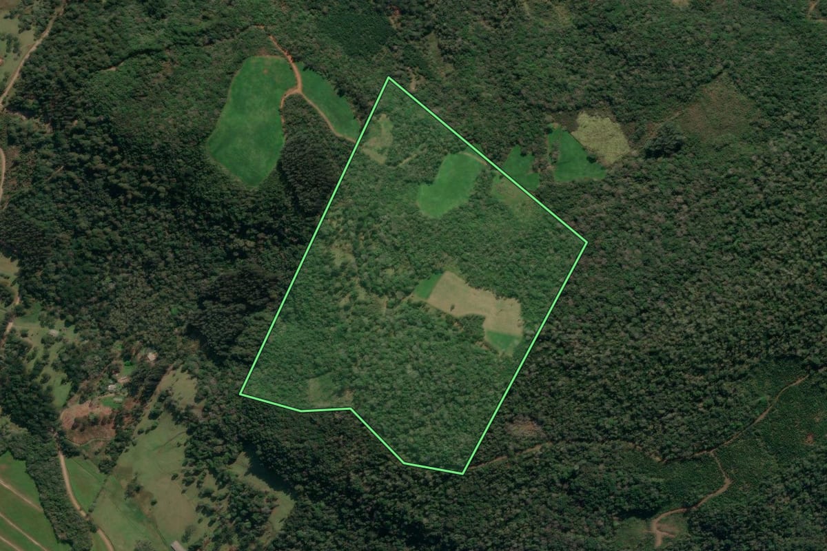 Imagem de satélite do imóvel rural em União da Vitória (PR), com o contorno declarado no CAR desenhado por cima.