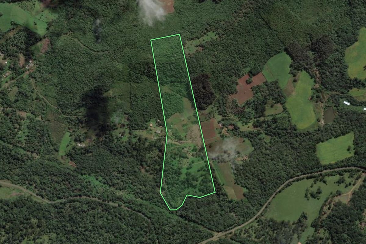 Imagem de satélite do imóvel rural em União da Vitória (PR), com o contorno declarado no CAR desenhado por cima.