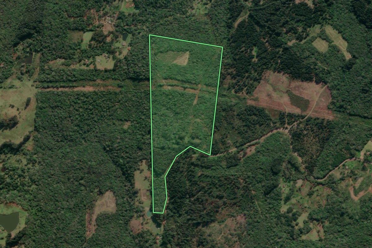 Imagem de satélite do imóvel rural em União da Vitória (PR), com o contorno declarado no CAR desenhado por cima.