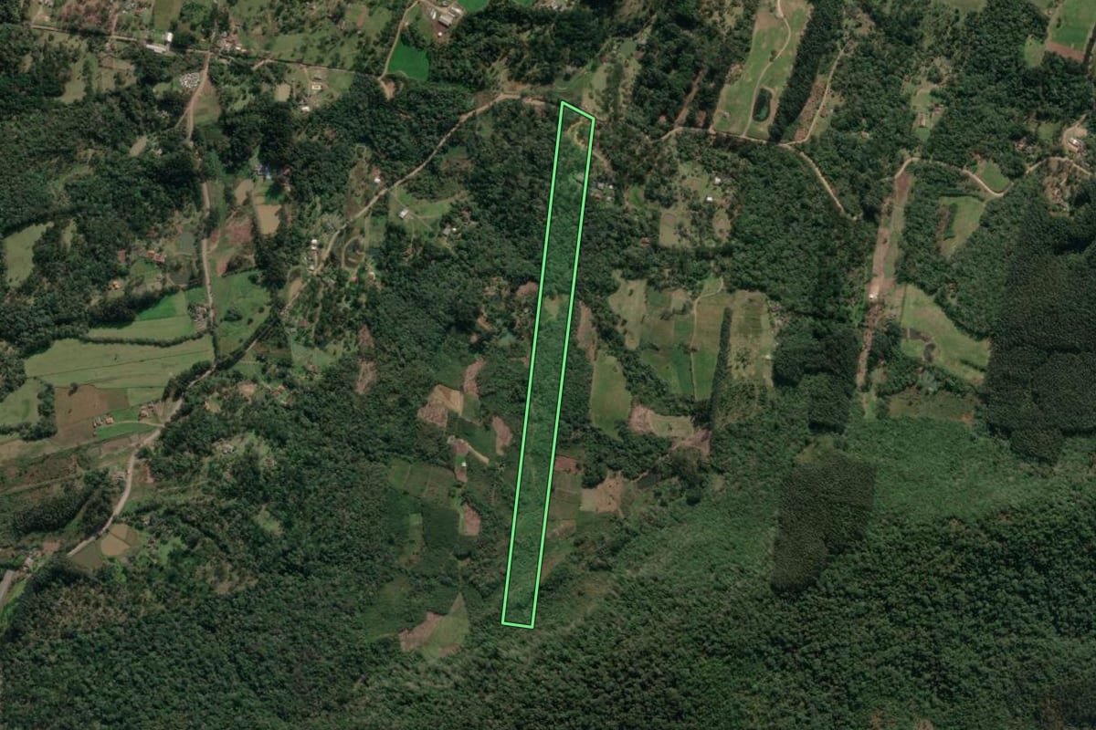 Imagem de satélite do imóvel rural em União da Vitória (PR), com o contorno declarado no CAR desenhado por cima.