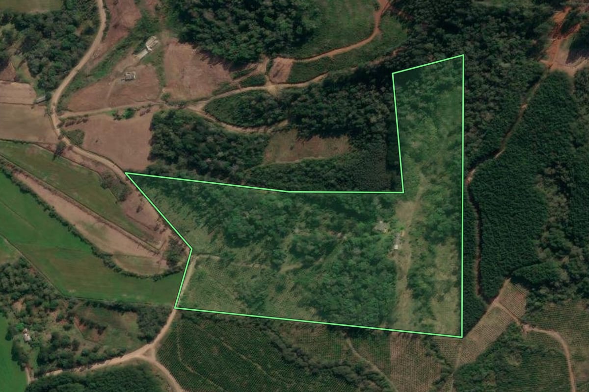 Imagem de satélite do imóvel rural em União da Vitória (PR), com o contorno declarado no CAR desenhado por cima.