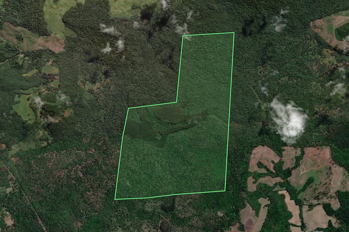 Imagem de satélite do imóvel rural em União da Vitória (PR), com o contorno declarado no CAR desenhado por cima.