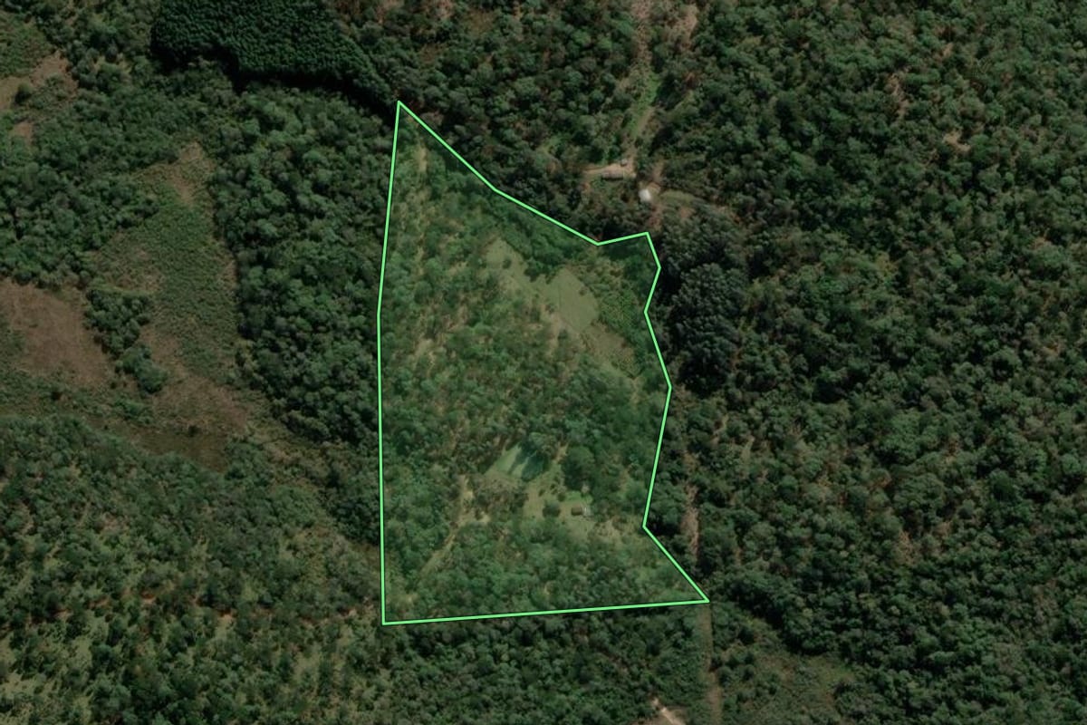 Imagem de satélite do imóvel rural em União da Vitória (PR), com o contorno declarado no CAR desenhado por cima.