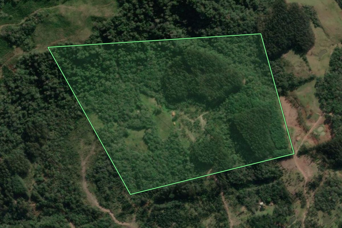 Imagem de satélite do imóvel rural em União da Vitória (PR), com o contorno declarado no CAR desenhado por cima.