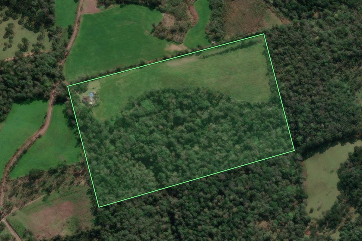 Imagem de satélite do imóvel rural em União da Vitória (PR), com o contorno declarado no CAR desenhado por cima.