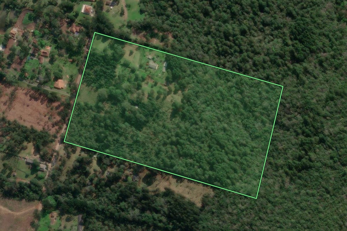 Imagem de satélite do imóvel rural em União da Vitória (PR), com o contorno declarado no CAR desenhado por cima.