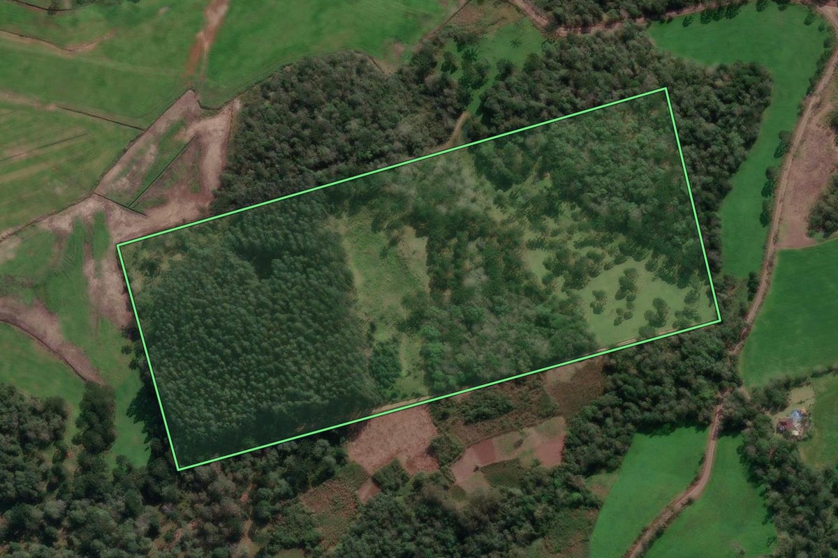 Imagem de satélite do imóvel rural em União da Vitória (PR), com o contorno declarado no CAR desenhado por cima.