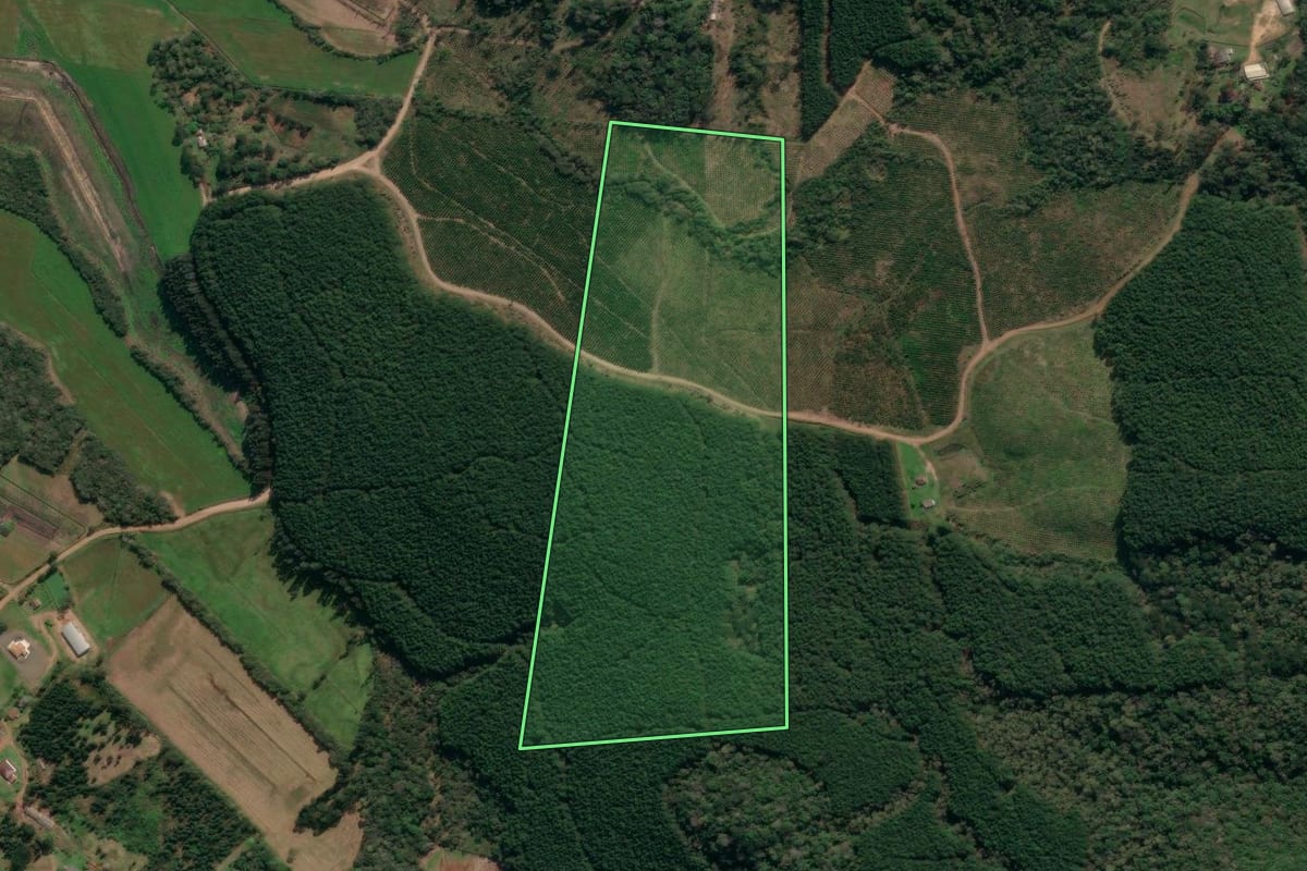 Imagem de satélite do imóvel rural em União da Vitória (PR), com o contorno declarado no CAR desenhado por cima.