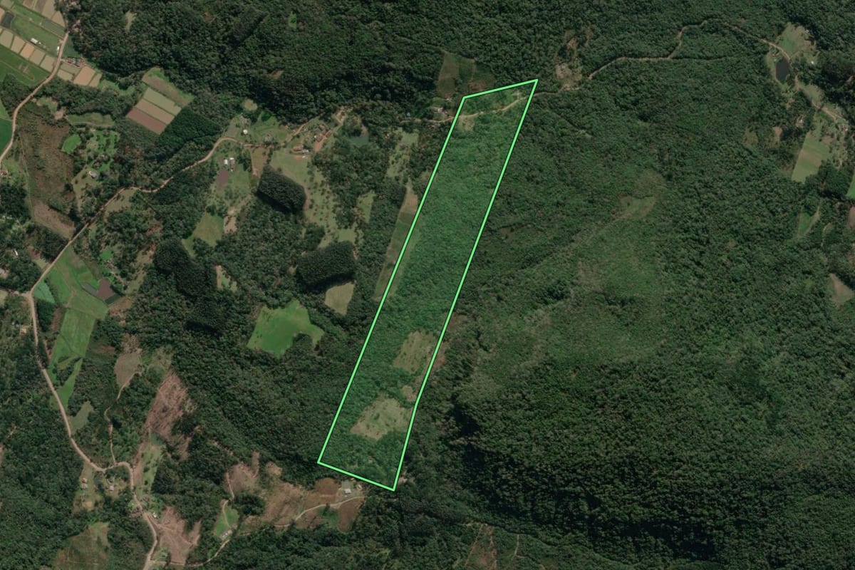 Imagem de satélite do imóvel rural em União da Vitória (PR), com o contorno declarado no CAR desenhado por cima.