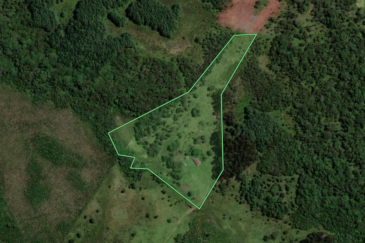 Imagem de satélite do imóvel rural em União da Vitória (PR), com o contorno declarado no CAR desenhado por cima.
