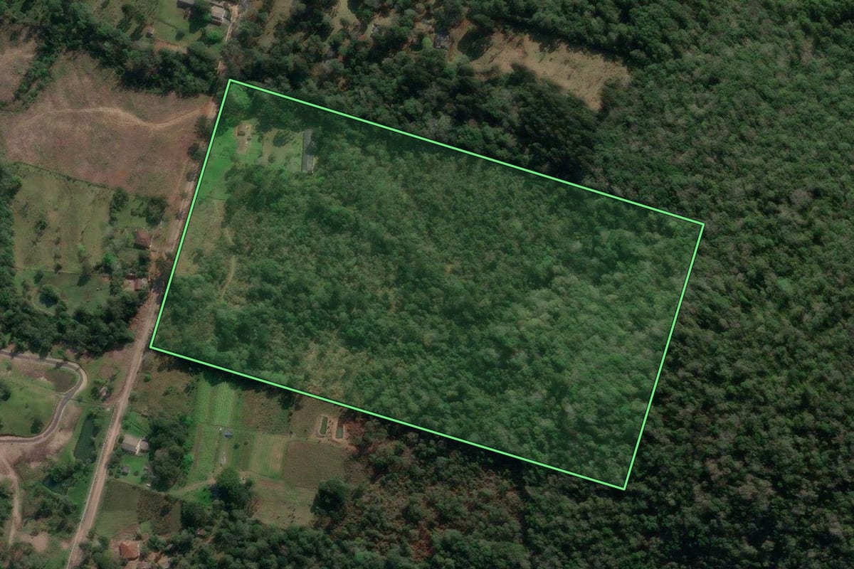 Imagem de satélite do imóvel rural em União da Vitória (PR), com o contorno declarado no CAR desenhado por cima.