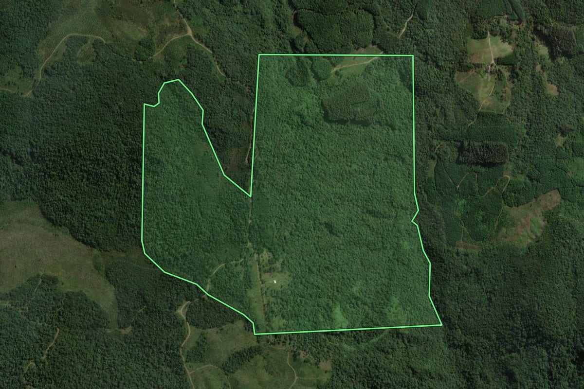 Imagem de satélite do imóvel rural em União da Vitória (PR), com o contorno declarado no CAR desenhado por cima.