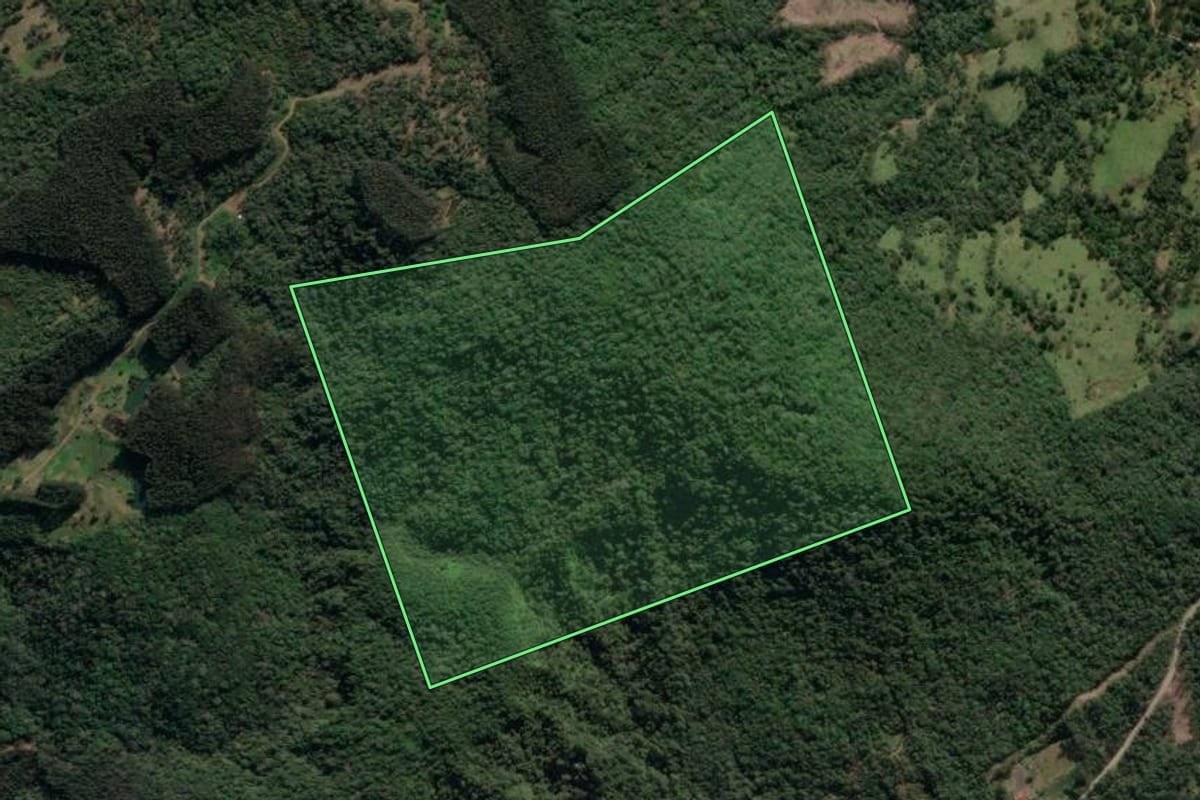 Imagem de satélite do imóvel rural em União da Vitória (PR), com o contorno declarado no CAR desenhado por cima.