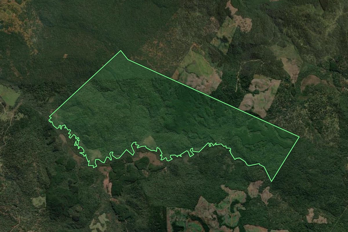 Imagem de satélite do imóvel rural em União da Vitória (PR), com o contorno declarado no CAR desenhado por cima.