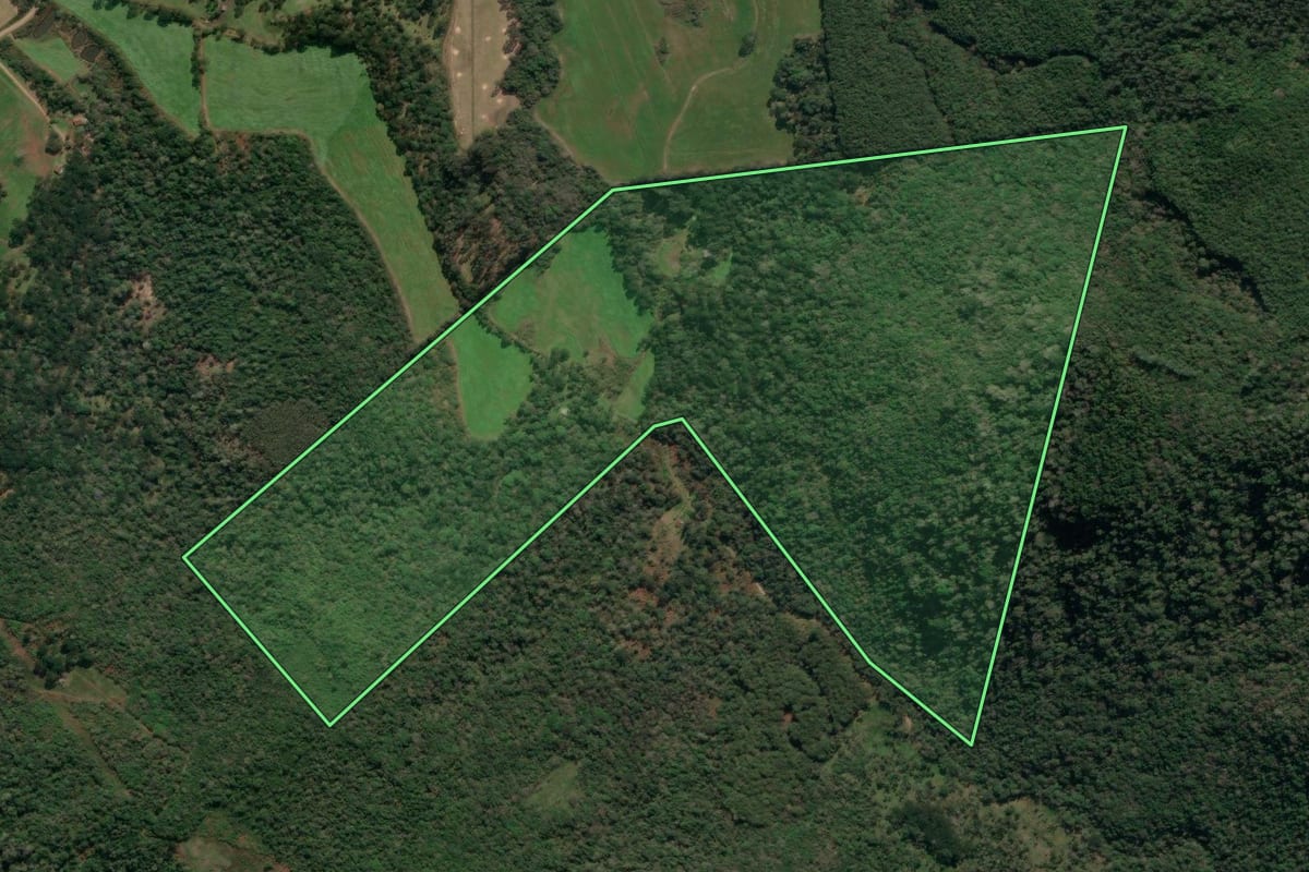 Imagem de satélite do imóvel rural em União da Vitória (PR), com o contorno declarado no CAR desenhado por cima.