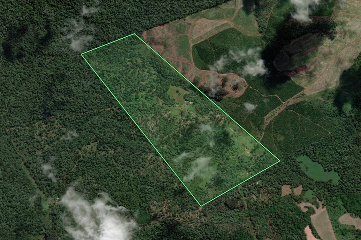 Imagem de satélite do imóvel rural em União da Vitória (PR), com o contorno declarado no CAR desenhado por cima.