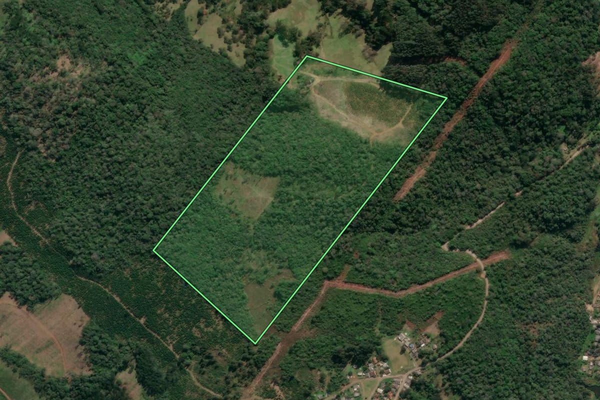 Imagem de satélite do imóvel rural em União da Vitória (PR), com o contorno declarado no CAR desenhado por cima.