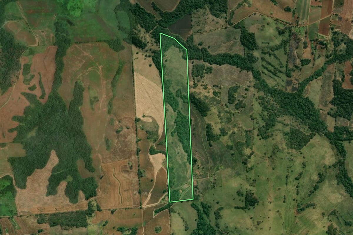Imagem de satélite do imóvel rural em Uraí (PR), com o contorno declarado no CAR desenhado por cima.