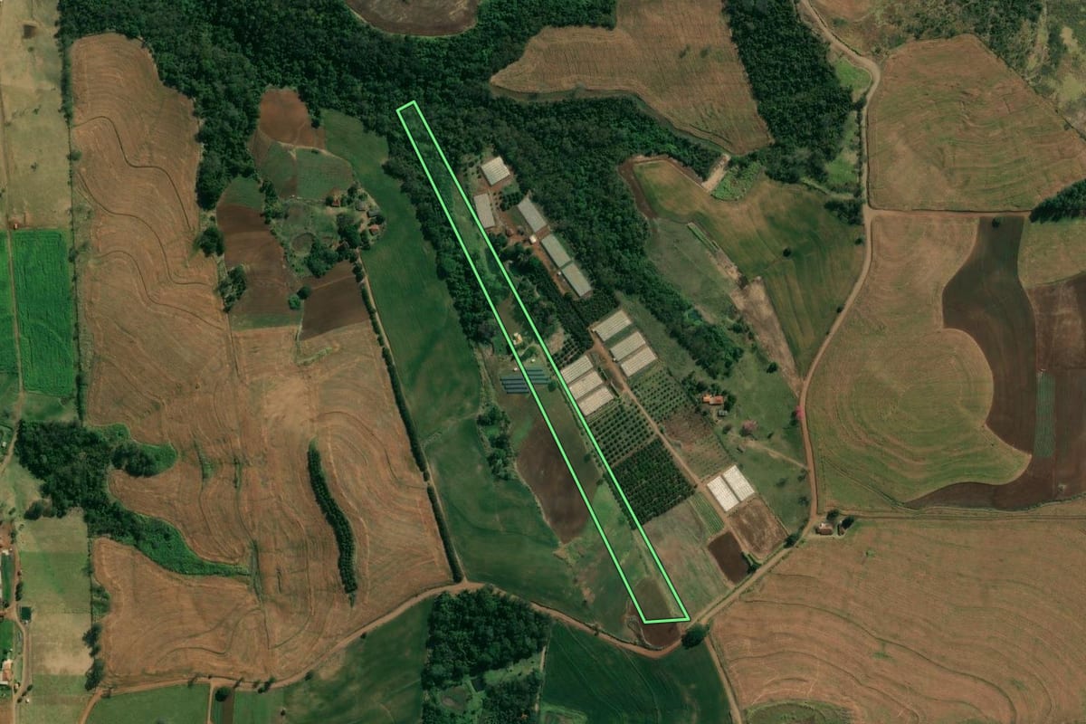Imagem de satélite do imóvel rural em Uraí (PR), com o contorno declarado no CAR desenhado por cima.