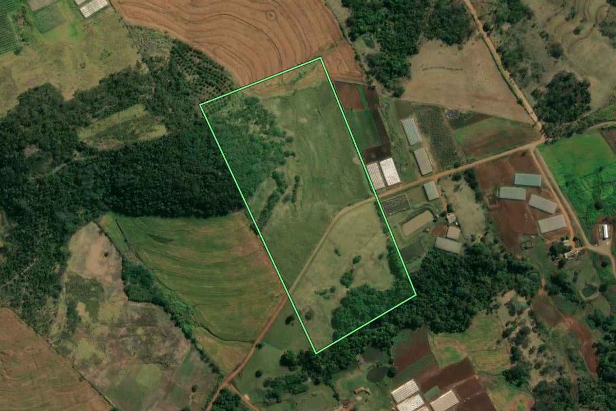 Imagem de satélite do imóvel rural em Uraí (PR), com o contorno declarado no CAR desenhado por cima.