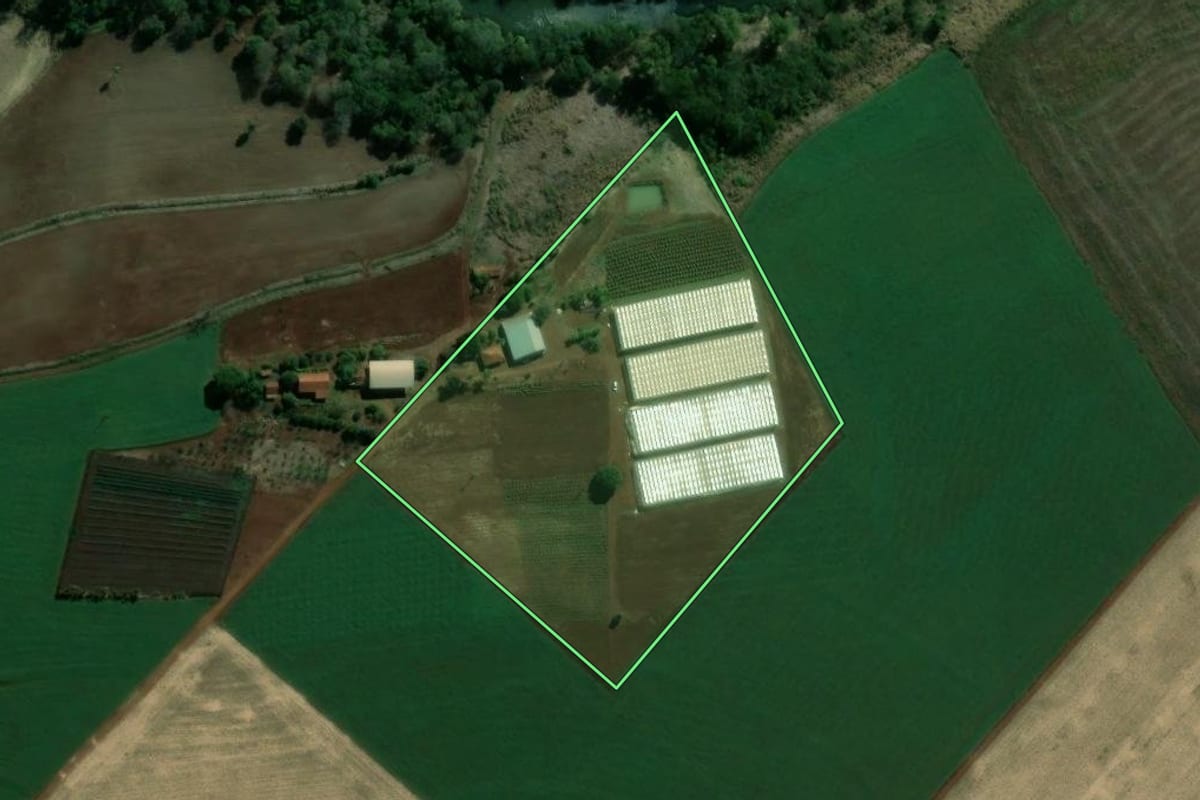 Imagem de satélite do imóvel rural em Uraí (PR), com o contorno declarado no CAR desenhado por cima.