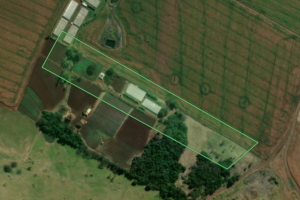 Imagem de satélite do imóvel rural em Uraí (PR), com o contorno declarado no CAR desenhado por cima.