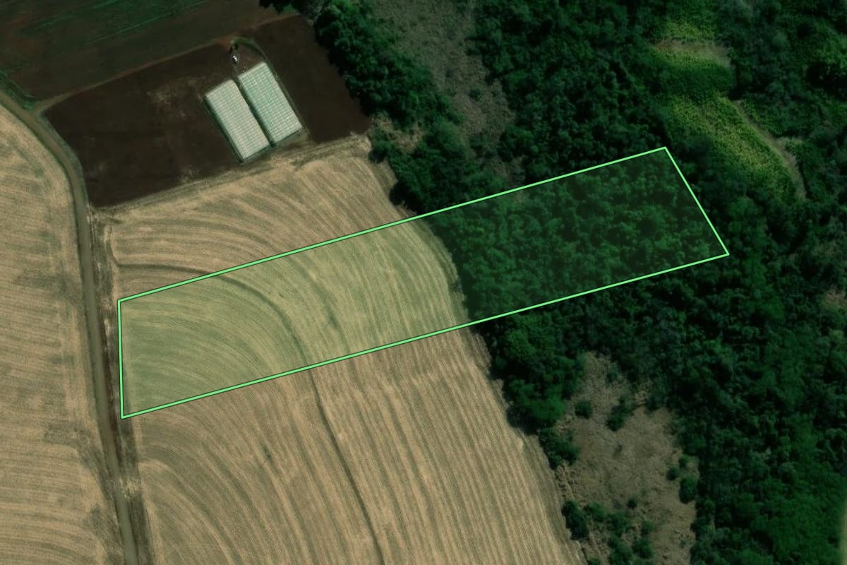 Imagem de satélite do imóvel rural em Uraí (PR), com o contorno declarado no CAR desenhado por cima.