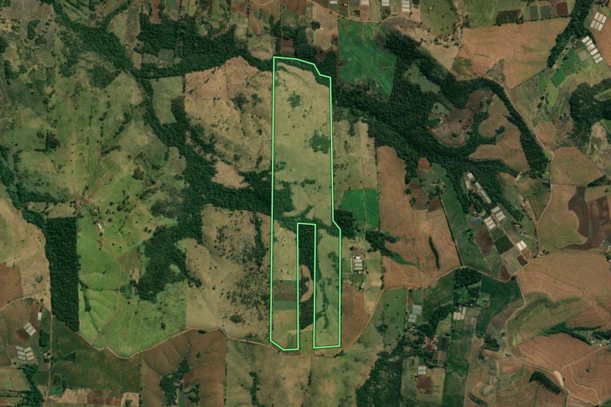 Imagem de satélite do imóvel rural em Uraí (PR), com o contorno declarado no CAR desenhado por cima.