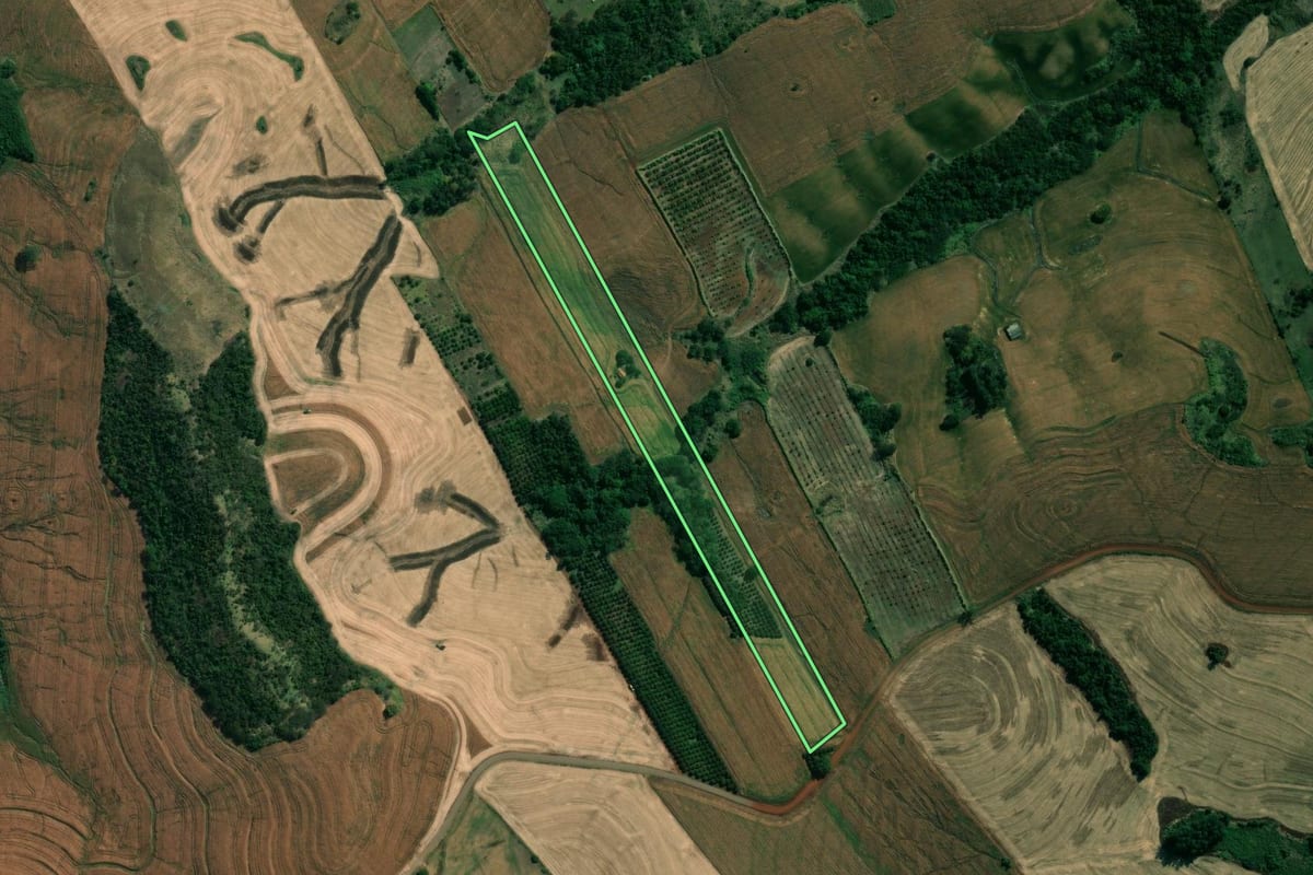 Imagem de satélite do imóvel rural em Uraí (PR), com o contorno declarado no CAR desenhado por cima.