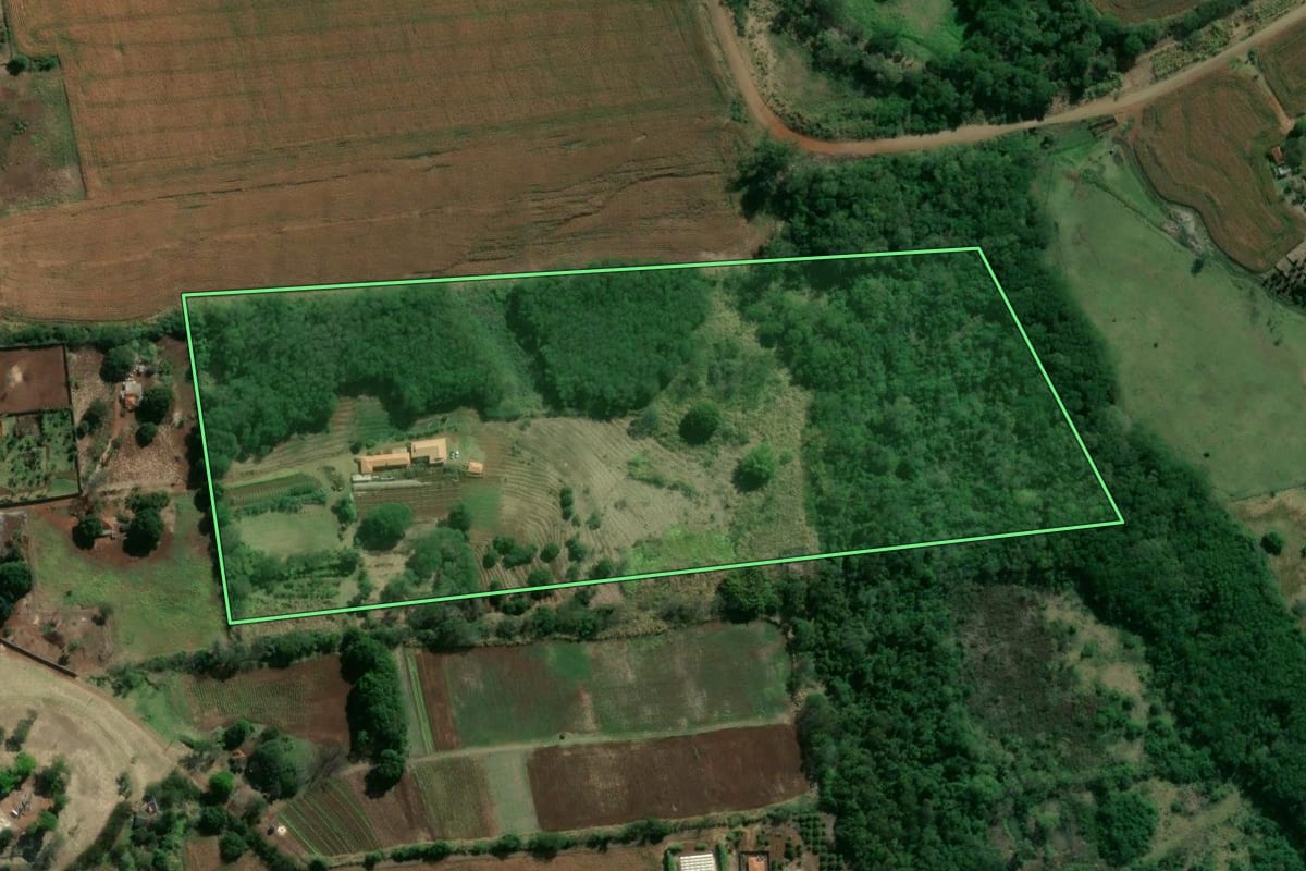 Imagem de satélite do imóvel rural em Uraí (PR), com o contorno declarado no CAR desenhado por cima.